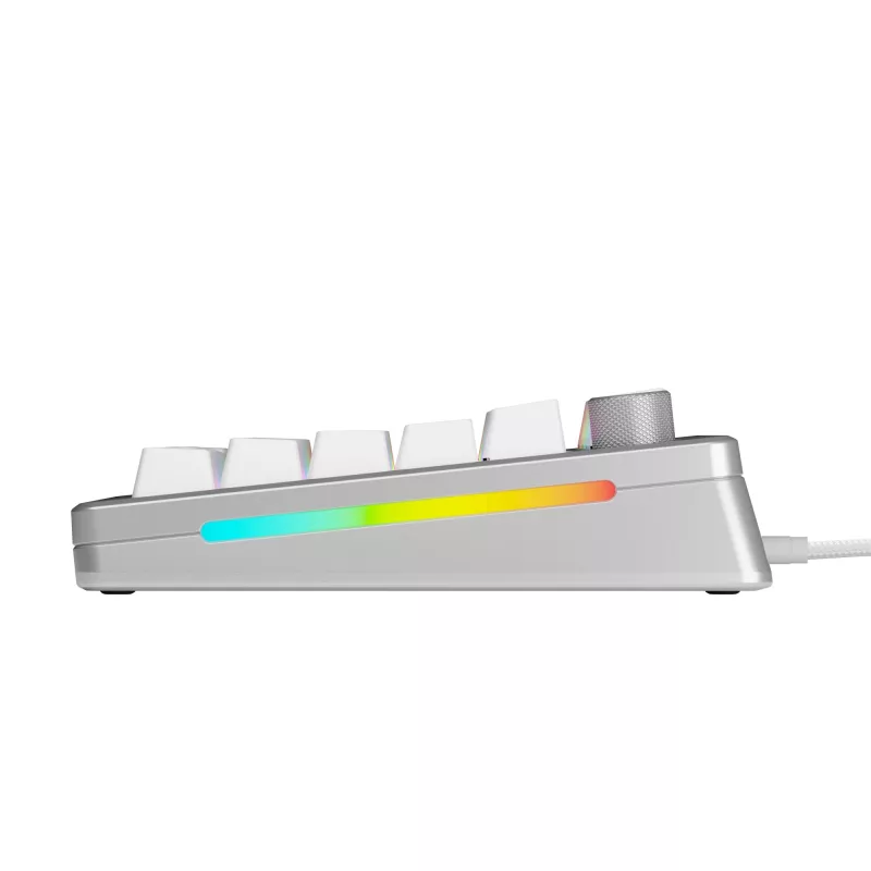 Mechaninė žaidimų klaviatūra GLORIOUS GMMK 3 PRO HE 75% surinkta laidinė USB QWERTY sidabrinė