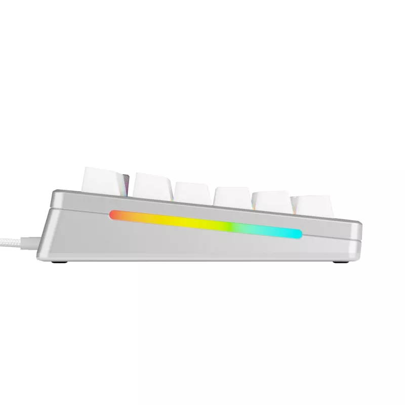 Mechaninė žaidimų klaviatūra GLORIOUS GMMK 3 PRO HE 75% surinkta laidinė USB QWERTY sidabrinė