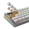 Glorious Gaming Glorious Panda HE jungikliai – 36 vnt., klaviatūros jungikliai, polikarbonatas (PC), permatomi, geltoni