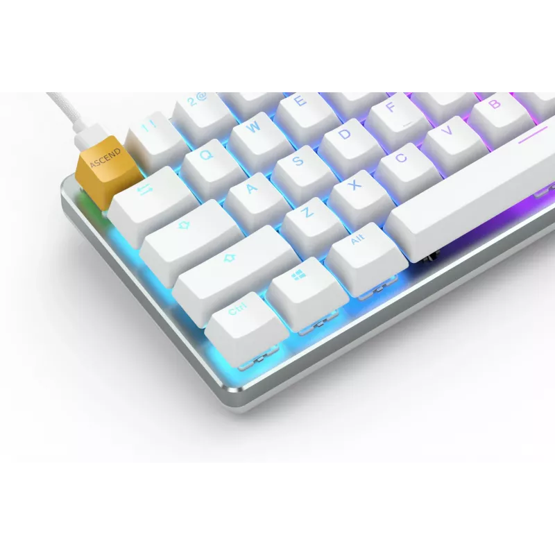 Glorious Gaming GMMK klaviatūra USB QWERTY US International sidabrinė, balta