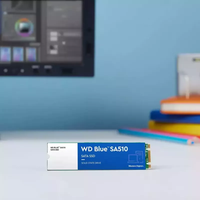 WESTERN DIGITAL SSD - WD Blue SA510 - 250GB - SATA 6Gb/s - M.2 2280