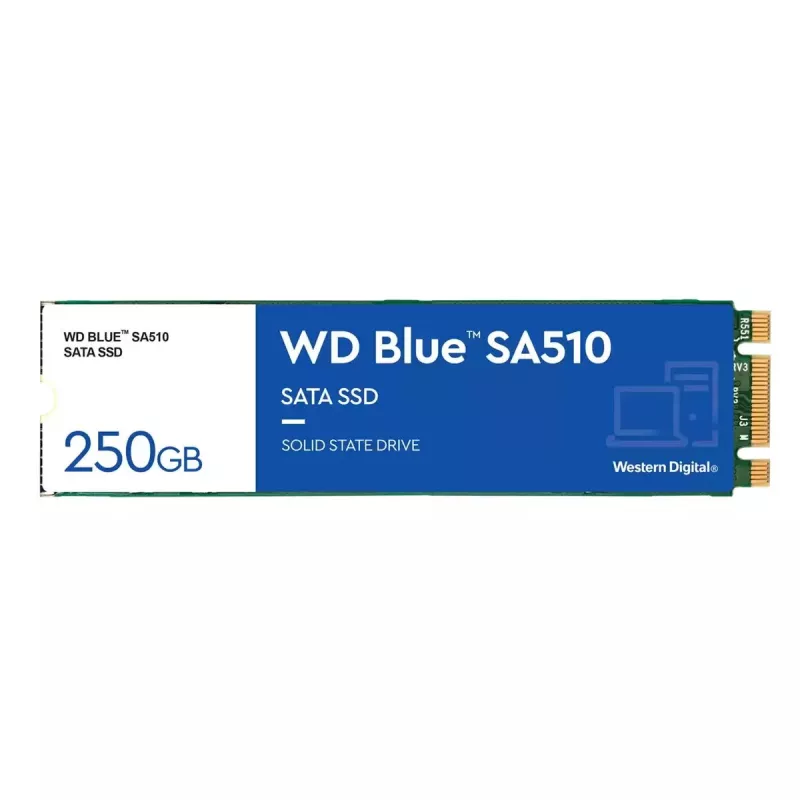 WESTERN DIGITAL SSD - WD Blue SA510 - 250GB - SATA 6Gb/s - M.2 2280