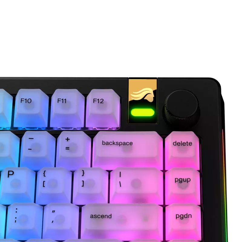 Keycaps GLORIOUS Polychroma V2 RGB US išdėstymas — pakaitinis rinkinys mechaninėms klaviatūroms