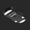 Pelė Endgame Gear OP1we USB Type-A