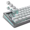 Klaviatūros jungikliai GLORIOUS Lynx Linear Mechanical Switches — 36 vnt., polikarbonatas, žydros spalvos permatomi