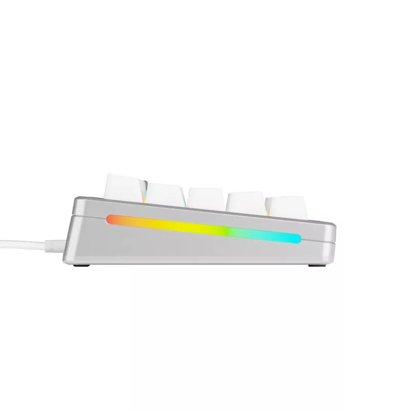 Mechaninė žaidimų klaviatūra GLORIOUS GMMK 3 PRO 65% laidinė USB, QWERTY US, RGB, sidabrinė, 2 m laidas