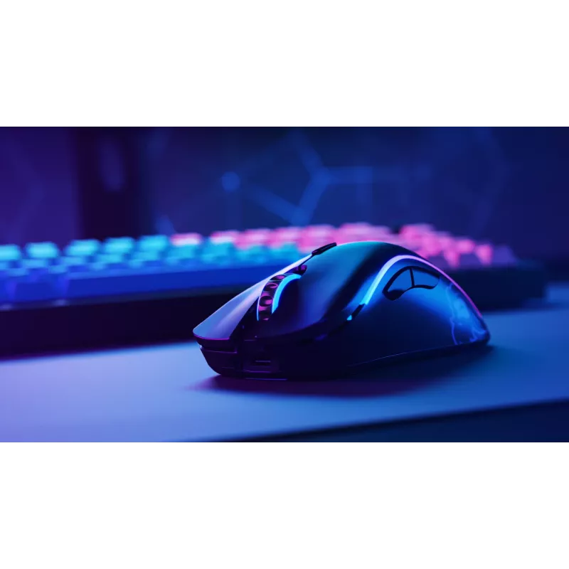 Glorious Gaming Glorious Model D Minus Wireless - matinė juoda
