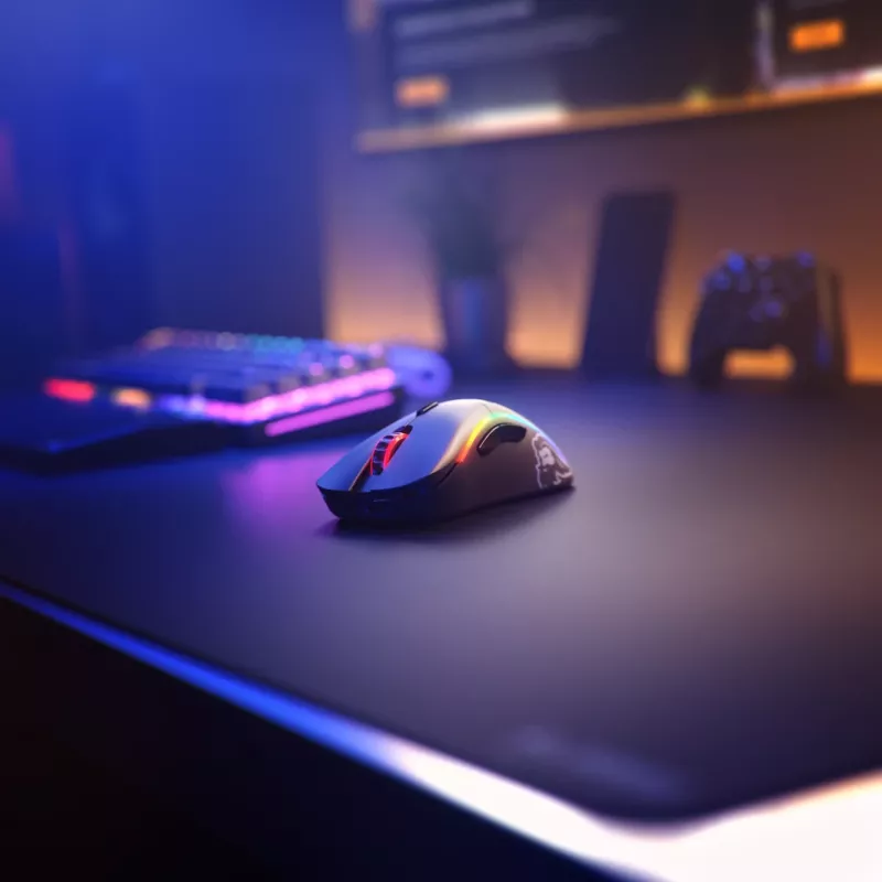 Glorious Gaming Glorious Model D Minus Wireless - matinė juoda