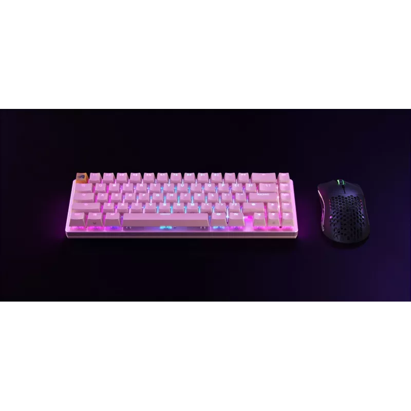 Glorious Gaming GMMK 2 klaviatūra USB US International Pink
