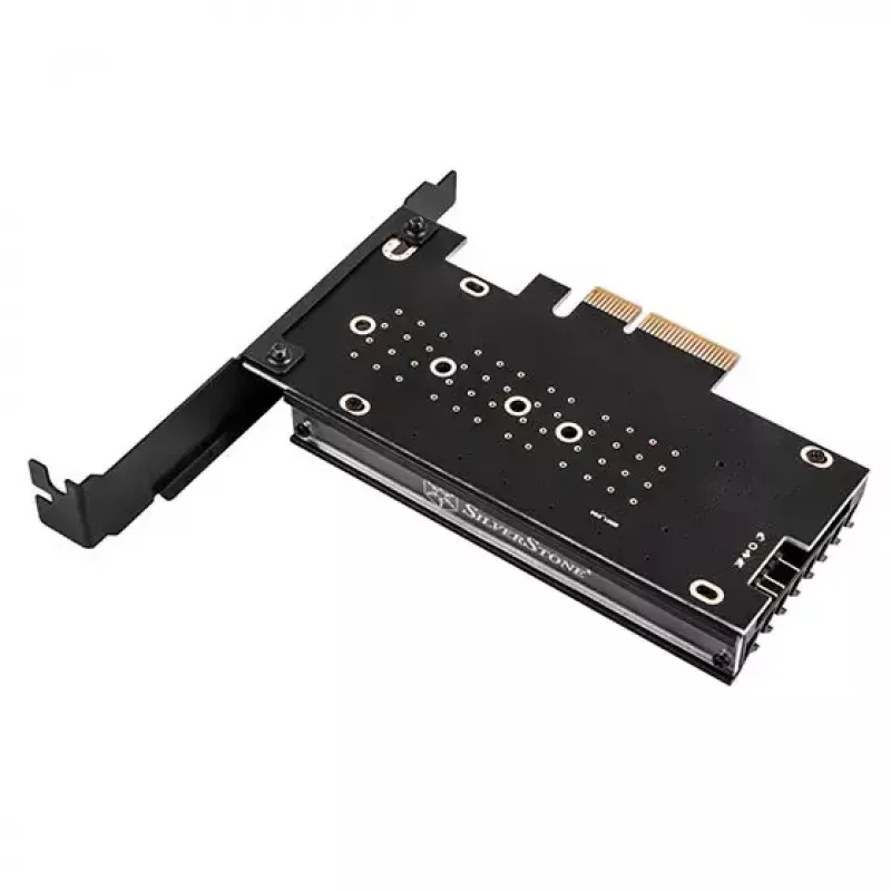 Vidinis M.2 adapteris Sidabrinėstone SST-ECM24-ARGB