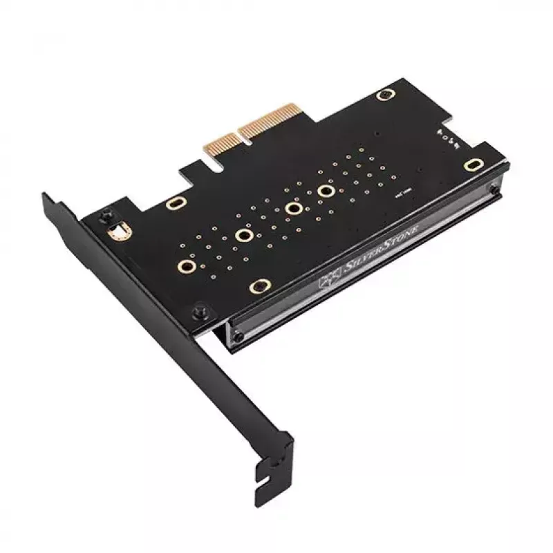 Vidinis M.2 adapteris Sidabrinėstone SST-ECM24-ARGB