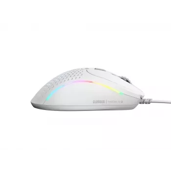 Glorious Gaming Glorious Model D 2 Wired - matinė balta, dešiniarankė, optinė, USB Type-A, 26000 DPI, balta