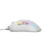 Glorious Gaming Glorious Model D 2 Wired - matinė balta, dešiniarankė, optinė, USB Type-A, 26000 DPI, balta