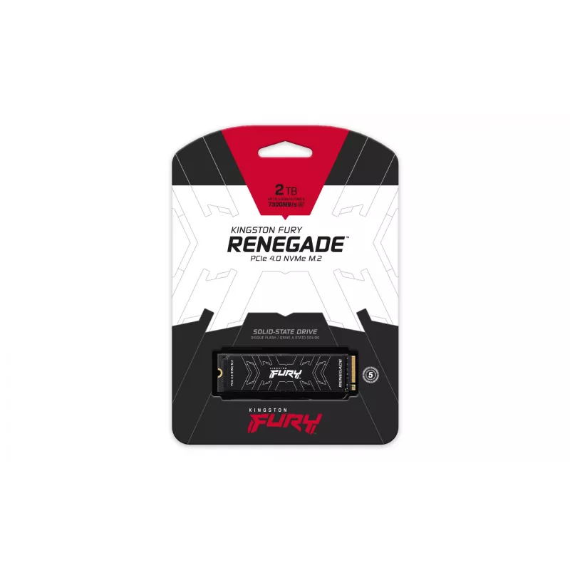 Kingston Technology 2000G FURY RENEGADE M.2 2280 NVMe SSD