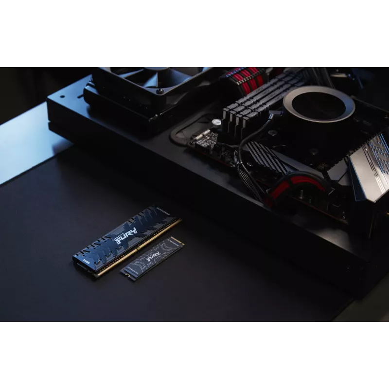 Kingston Technology 2000G FURY RENEGADE M.2 2280 NVMe SSD