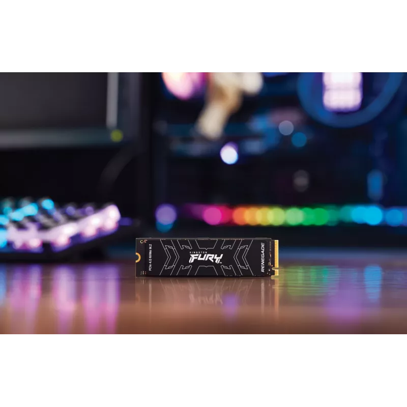 Kingston Technology 2000G FURY RENEGADE M.2 2280 NVMe SSD