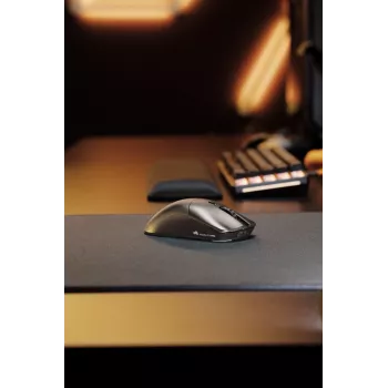 Glorious Gaming Glorious Model O 2 PRO Wireless - 1K Polling - Juoda
