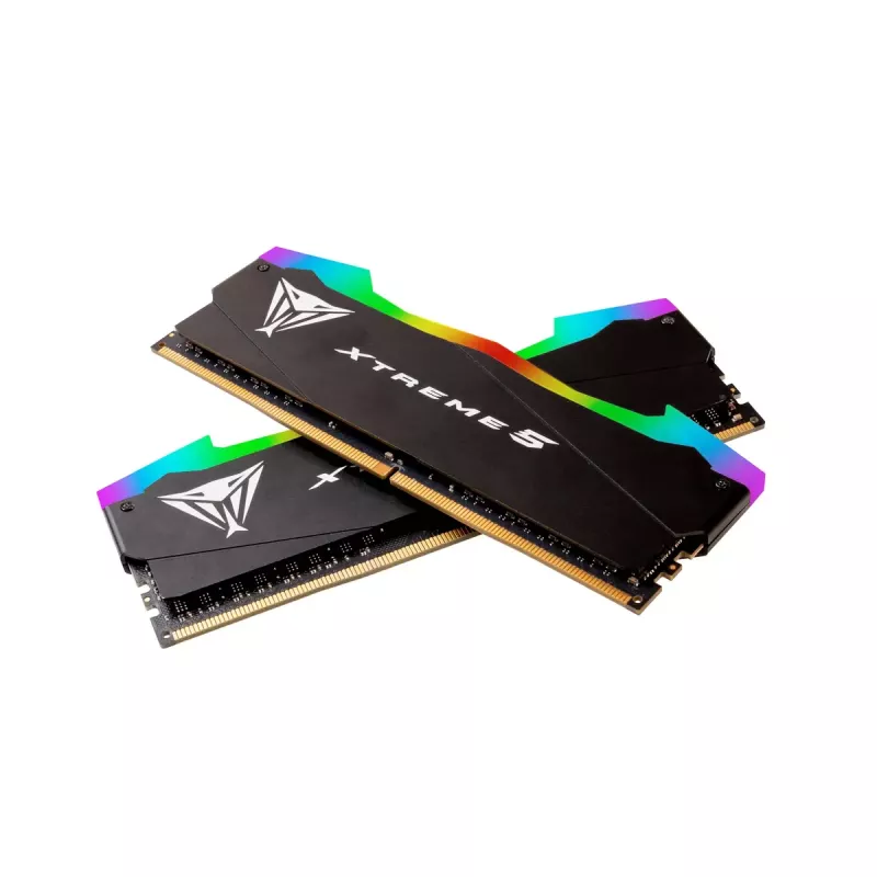Atminties modulis Patriot Memory Viper Xtreme 5 DDR5 32GB 8000MHz