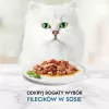 Šlapias kačių maistas Purina Nestlé GOURMET Perle Mini filė gabaliukai padaže, pakeliai 60 x 85 g, suaugusios katės, 80% drėgmės