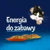 Šlapias kačių ėdalas Purina Nestlé PURINA Felix Countryside Selection rinkinys 120×85 g maišelių, suaugusioms katėms, mišrių skonių, be glitimo