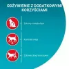 Sausas kačių maistas Purina Nestlé One Sterilcat Beef 9,75 kg — suaugusioms sterilizuotoms katėms, 37 % baltymų