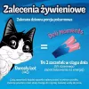 Drėgnas kačių skanėstas Purina Felix Deli Moments Lašišos pasta 4 x 10 g tūtelė