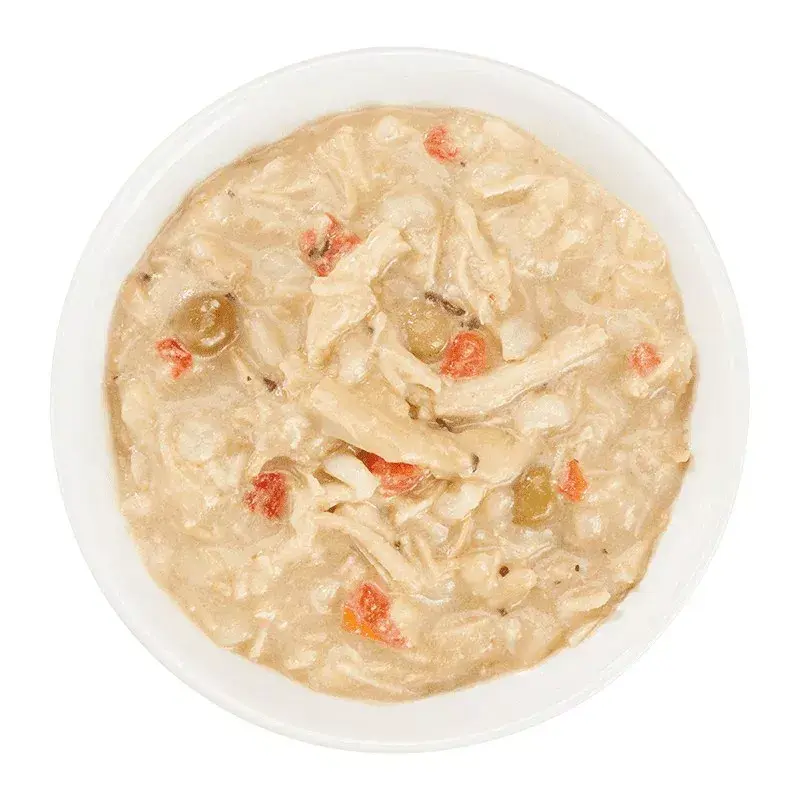 Agras Pet Foods Schesir Taste the World 150 g — vištiena, be glitimo, suaugusiems šunims, skardinė