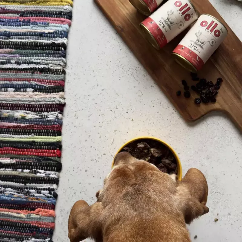 Šlapias šunų maistas OLLO Pure Pork 850 g — visaveris suaugusiems šunims skirtas šlapias maistas, monoproteininis, 17% baltymų, 11,5% riebalų, 63% drėgmės