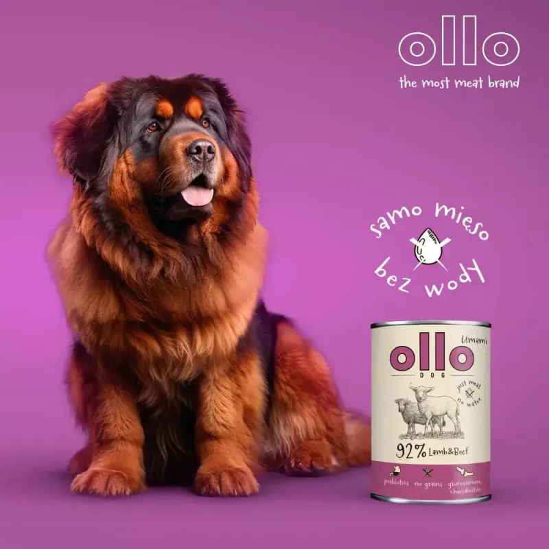 Šlapias šunų maistas OLLO Umami Lamb and Beef 850 g — suaugusiems, be grūdų, be glitimo ir sojos