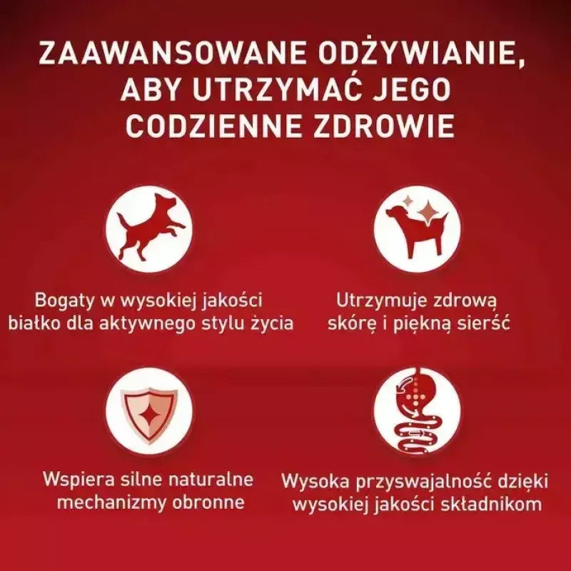 Šlapias šunų maistas Purina Nestlé One Mini/Small Active Beef 85 g — šlapias maistas suaugusiems mažų veislių šunims, 76,4 % drėgmės, 12,5 % baltymų