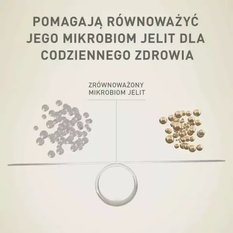 Šlapias šunų maistas Purina Nestlé One Mini/Small Active Beef 85 g — šlapias maistas suaugusiems mažų veislių šunims, 76,4 % drėgmės, 12,5 % baltymų
