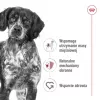 Sausas šunų ėdalas Royal Canin Medium Adult — vištiena ir kiauliena, 4 kg; baltymai 25%, riebalai 14%