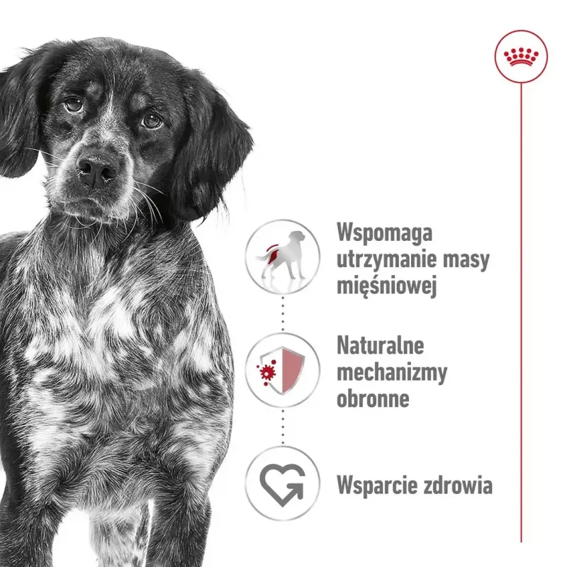 Sausas šunų ėdalas Royal Canin Medium Adult — vištiena ir kiauliena, 4 kg; baltymai 25%, riebalai 14%