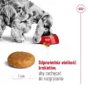 Sausas šunų ėdalas Royal Canin Medium Adult — vištiena ir kiauliena, 4 kg; baltymai 25%, riebalai 14%