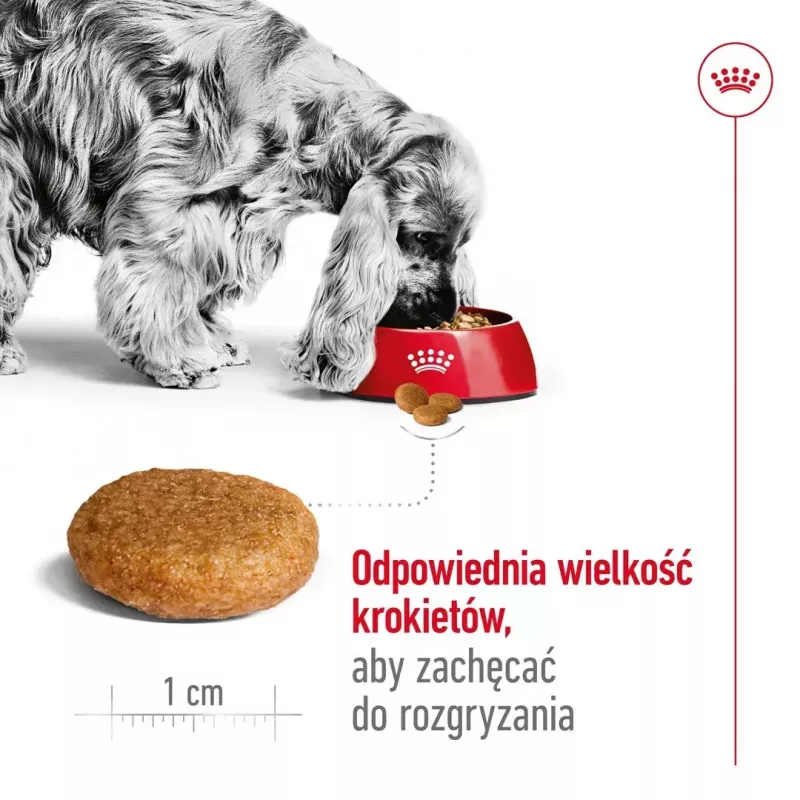 Sausas šunų ėdalas Royal Canin Medium Adult — vištiena ir kiauliena, 4 kg; baltymai 25%, riebalai 14%