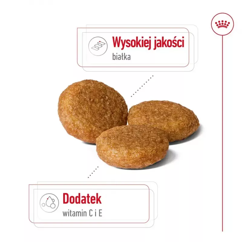 Sausas šunų ėdalas Royal Canin Medium Adult — vištiena ir kiauliena, 4 kg; baltymai 25%, riebalai 14%