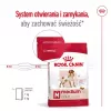 Sausas šunų ėdalas Royal Canin Medium Adult — vištiena ir kiauliena, 4 kg; baltymai 25%, riebalai 14%