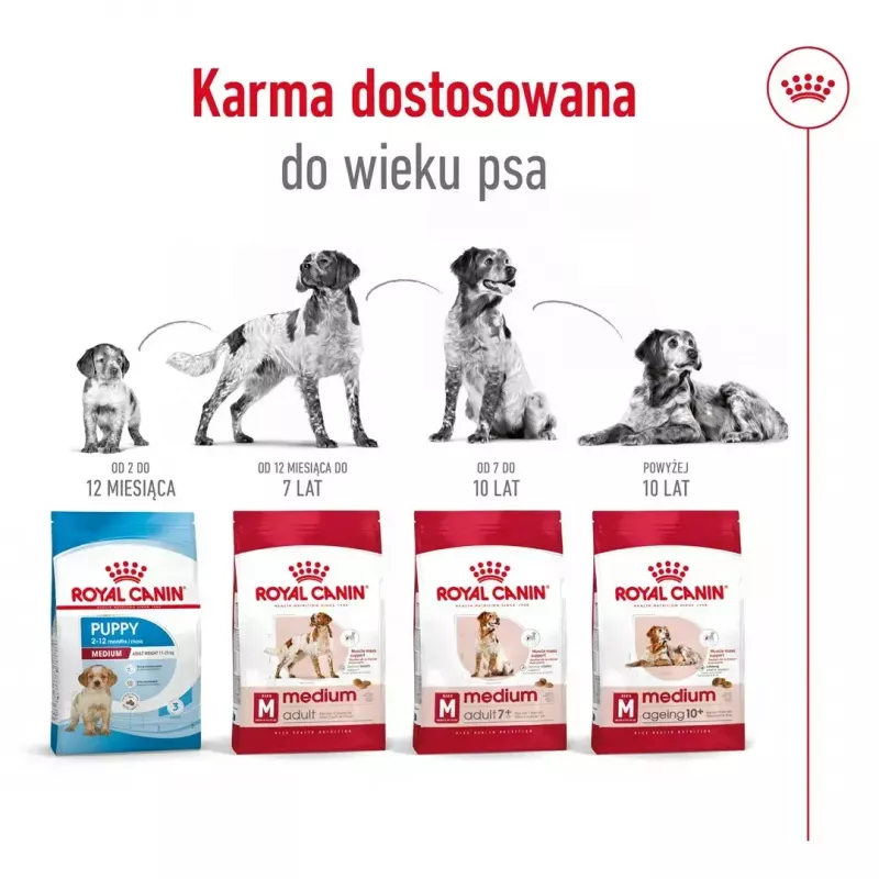 Sausas šunų ėdalas Royal Canin Medium Adult — vištiena ir kiauliena, 4 kg; baltymai 25%, riebalai 14%