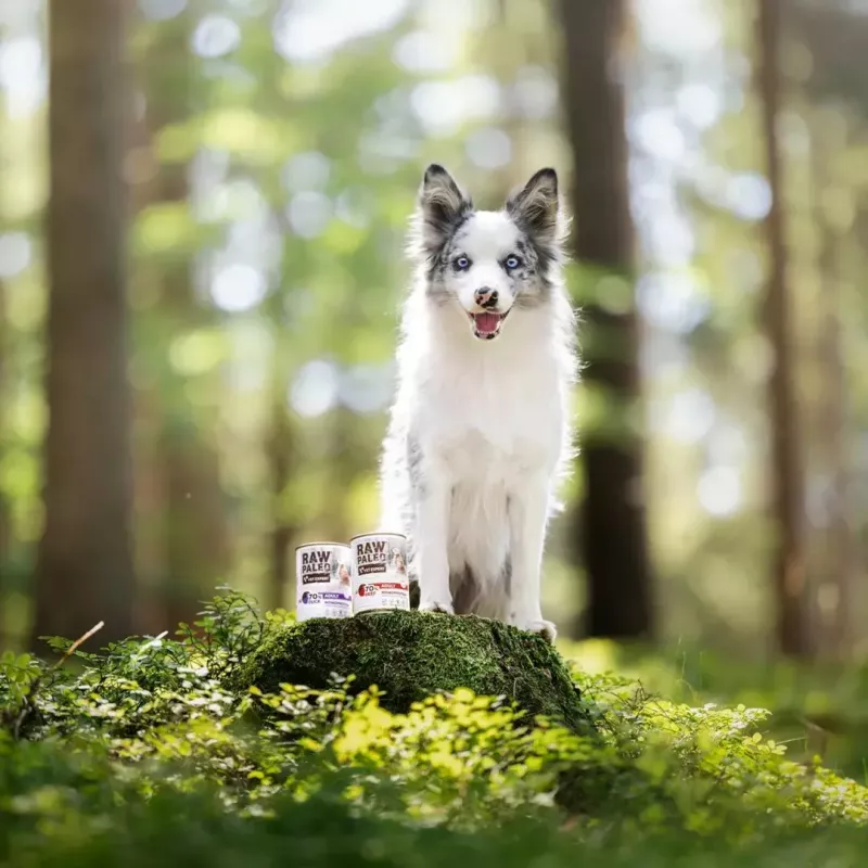 Šlapias šunų maistas VETEXPERT RAW PALEO Puppy Monoprotein Duck 400 g, drėgnumas 74,8 %, baltymai 9,6 %, riebalai 10,6 %