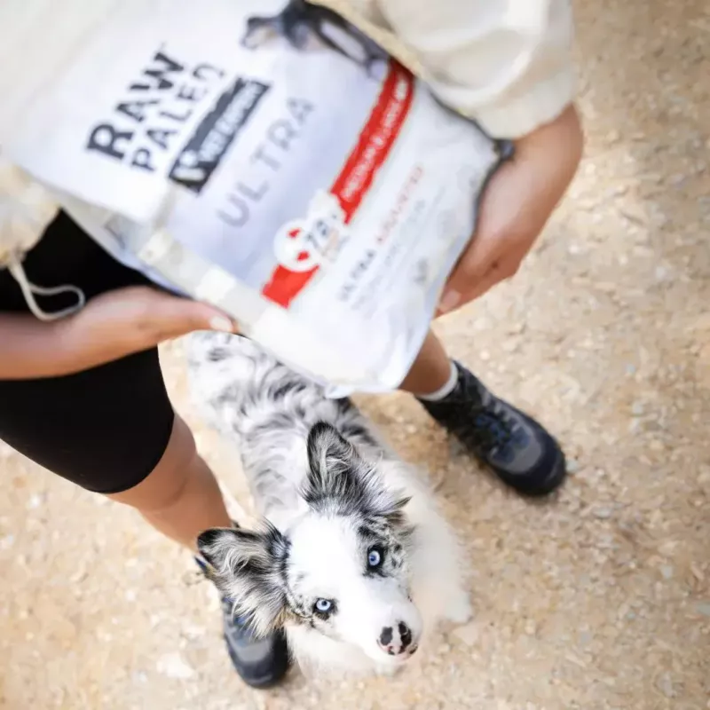 Sausas šunų maistas VETEXPERT RAW PALEO Ultra Mini Adult Beef 2 kg — visavertis ėdalas suaugusiems mažiems šunims, 28,5% baltymų, 16% riebalų