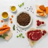 Sausas šunų maistas VETEXPERT RAW PALEO Ultra Mini Adult Beef 2 kg — visavertis ėdalas suaugusiems mažiems šunims, 28,5% baltymų, 16% riebalų
