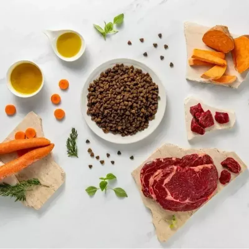 Sausas šuniukų maistas VETEXPERT RAW PALEO Ultra Medium & Large jautiena 2 kg — jautiena, baltymai 30,5%, riebalai 16,5%
