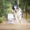 Sausas šuniukų maistas VETEXPERT RAW PALEO Ultra Medium & Large jautiena 2 kg — jautiena, baltymai 30,5%, riebalai 16,5%