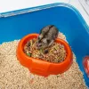 Hamsterių narvas FERPLAST Combi 2, mėlynas permatomas, P795×G295×A263 mm, technopolimeras
