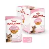 Šlapias kačių maistas Royal Canin Feline Health Nutrition Sterilized Chicken 12 x 85 g (Suaugusioms, 1–1.9 kg)