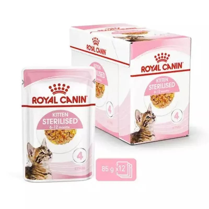 Šlapias kačių maistas Royal Canin Feline Health Nutrition Sterilized Chicken 12 x 85 g (Suaugusioms, 1–1.9 kg)