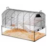 Narvelis ZOLUX NeoPanas XL stiklinis graužikams, juodas, matmenys 710×410×490 mm, stiklinio padėklo aukštis 180 mm, komplekte 2 lentynos, 2 platformos, dubuo, namelis, ratas