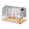 Narvelis ZOLUX NeoPanas XL stiklinis graužikams, juodas, matmenys 710×410×490 mm, stiklinio padėklo aukštis 180 mm, komplekte 2 lentynos, 2 platformos, dubuo, namelis, ratas