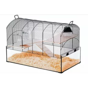 Narvelis ZOLUX NeoPanas XL stiklinis graužikams, juodas, matmenys 710×410×490 mm, stiklinio padėklo aukštis 180 mm, komplekte 2 lentynos, 2 platformos, dubuo, namelis, ratas