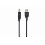 GEMBIRD USB 2.0 A kištuko - B kištuko kabelis 2,0 m (6 pėd.) - juoda / urmo pakuotė (ccp-USB2-ambm-6)